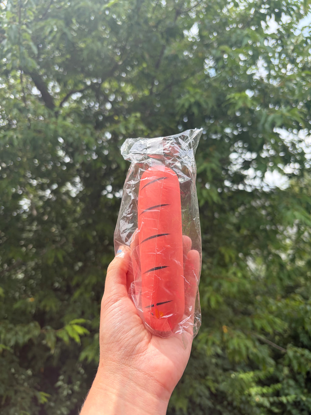Hot Dog Squish 𓌉◯𓇋