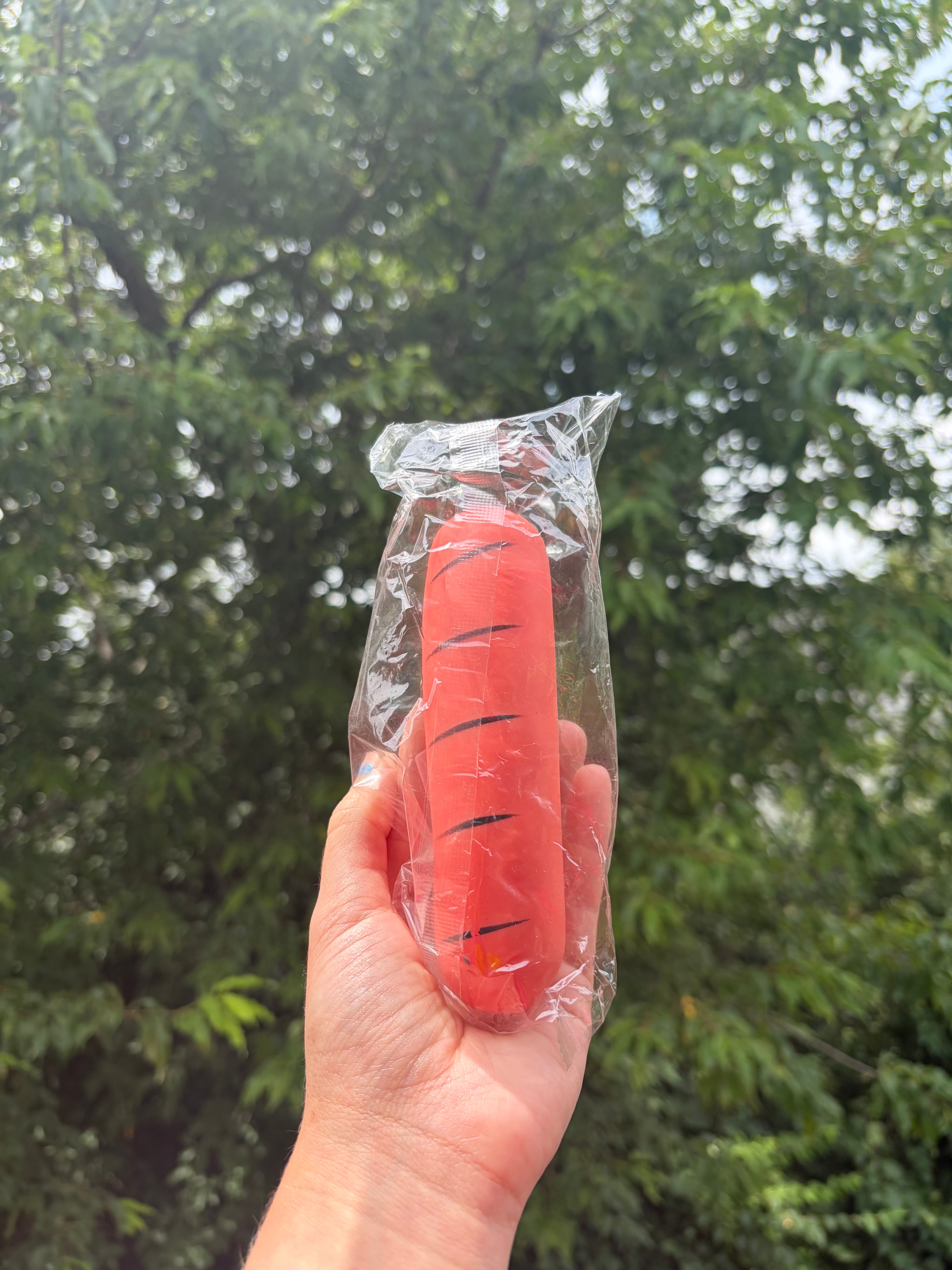 Hot Dog Squish 𓌉◯𓇋