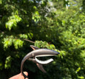 Unique Shark Guitar Capo ⊹ ࣪ ﹏﹏𓂁﹏⊹ ࣪ ˖