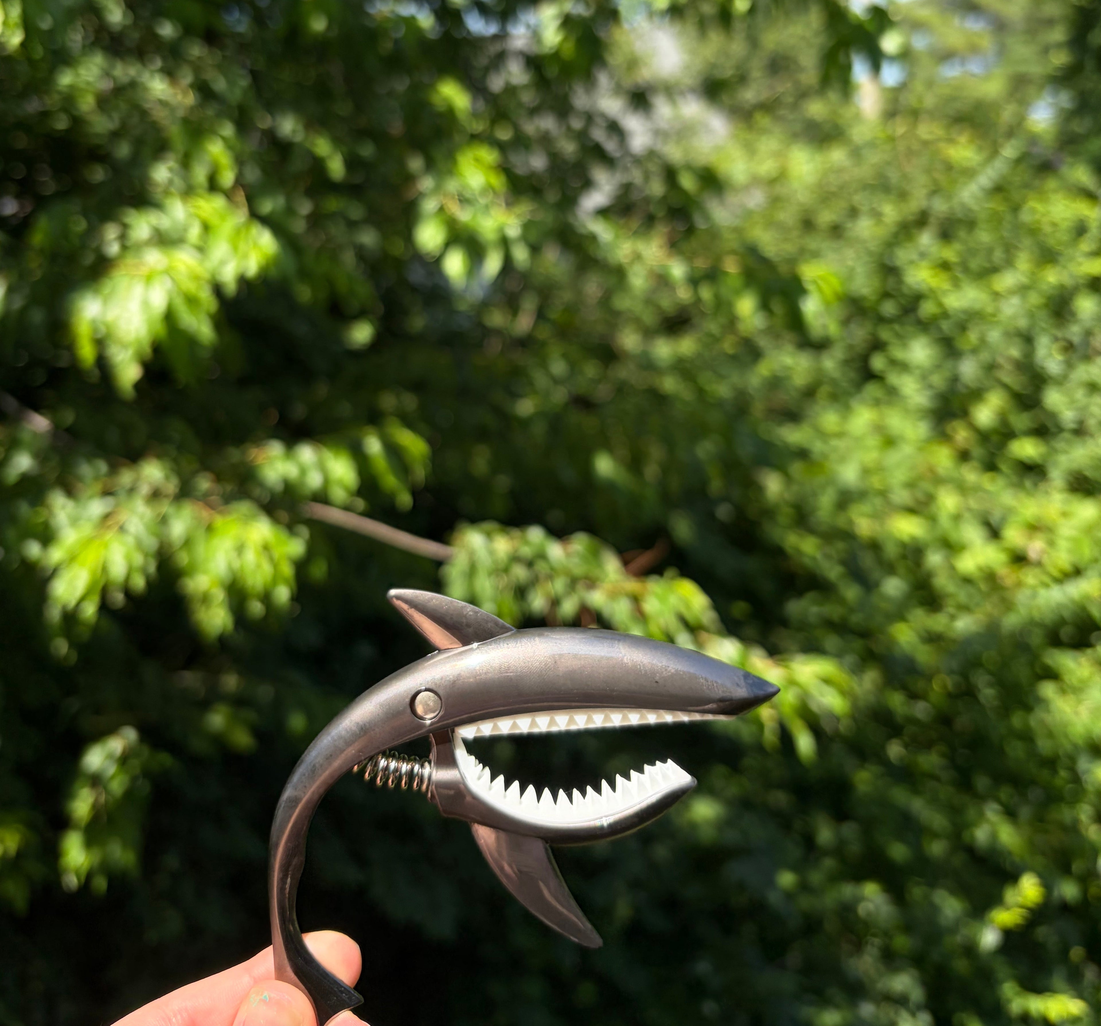 Unique Shark Guitar Capo ⊹ ࣪ ﹏﹏𓂁﹏⊹ ࣪ ˖