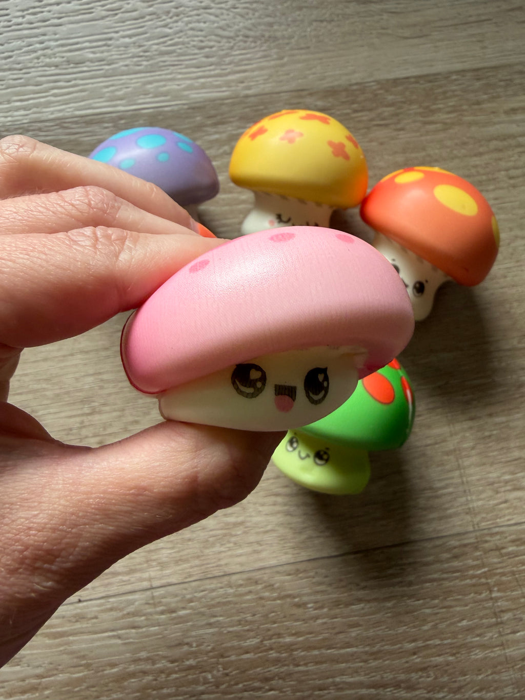 Mystery Mushroom Squishie 𓍊𓋼𓍊𓋼𓍊