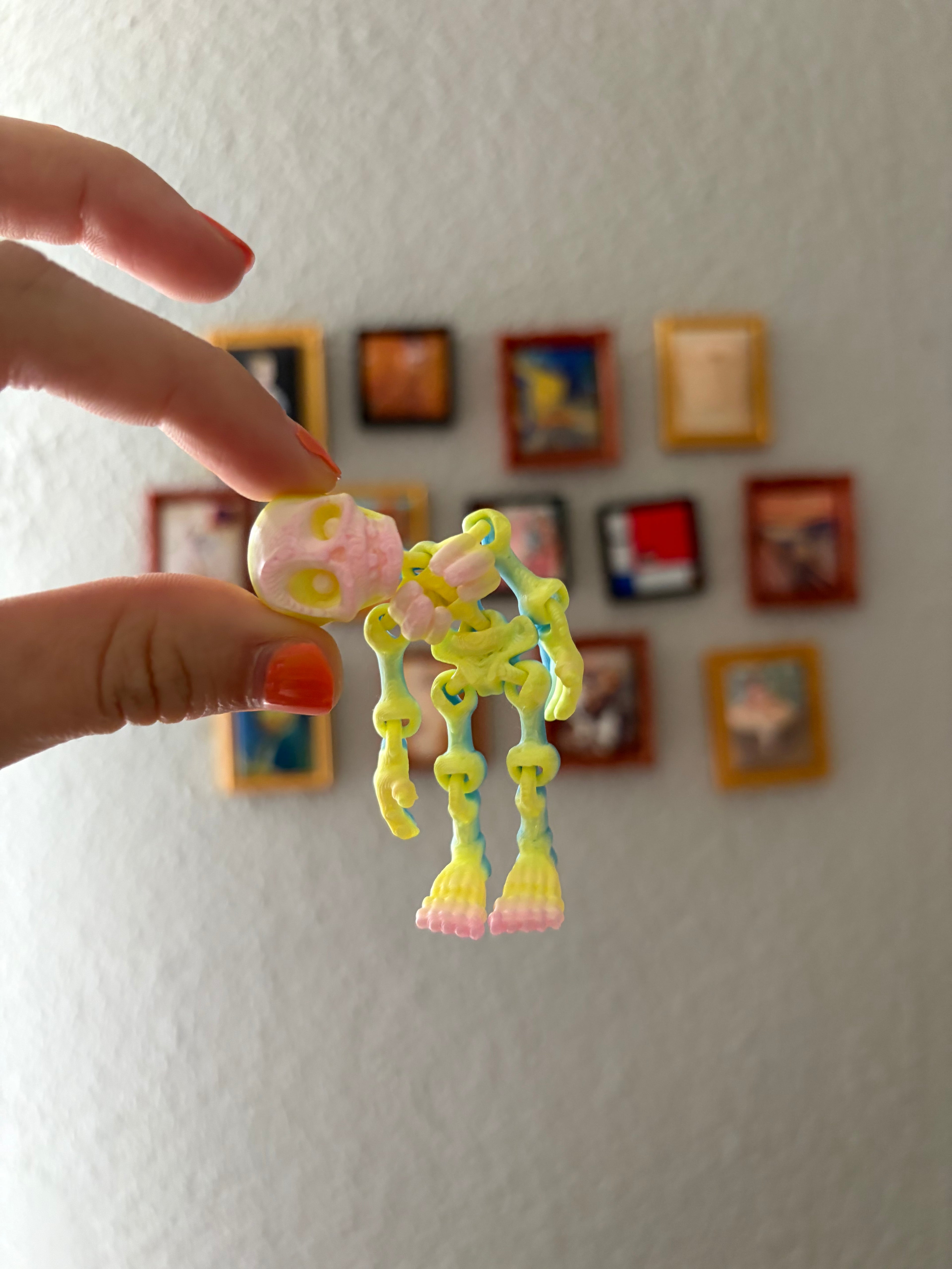 Mystery Skeleton Fidget ☠︎︎ ⋆₊ ♱