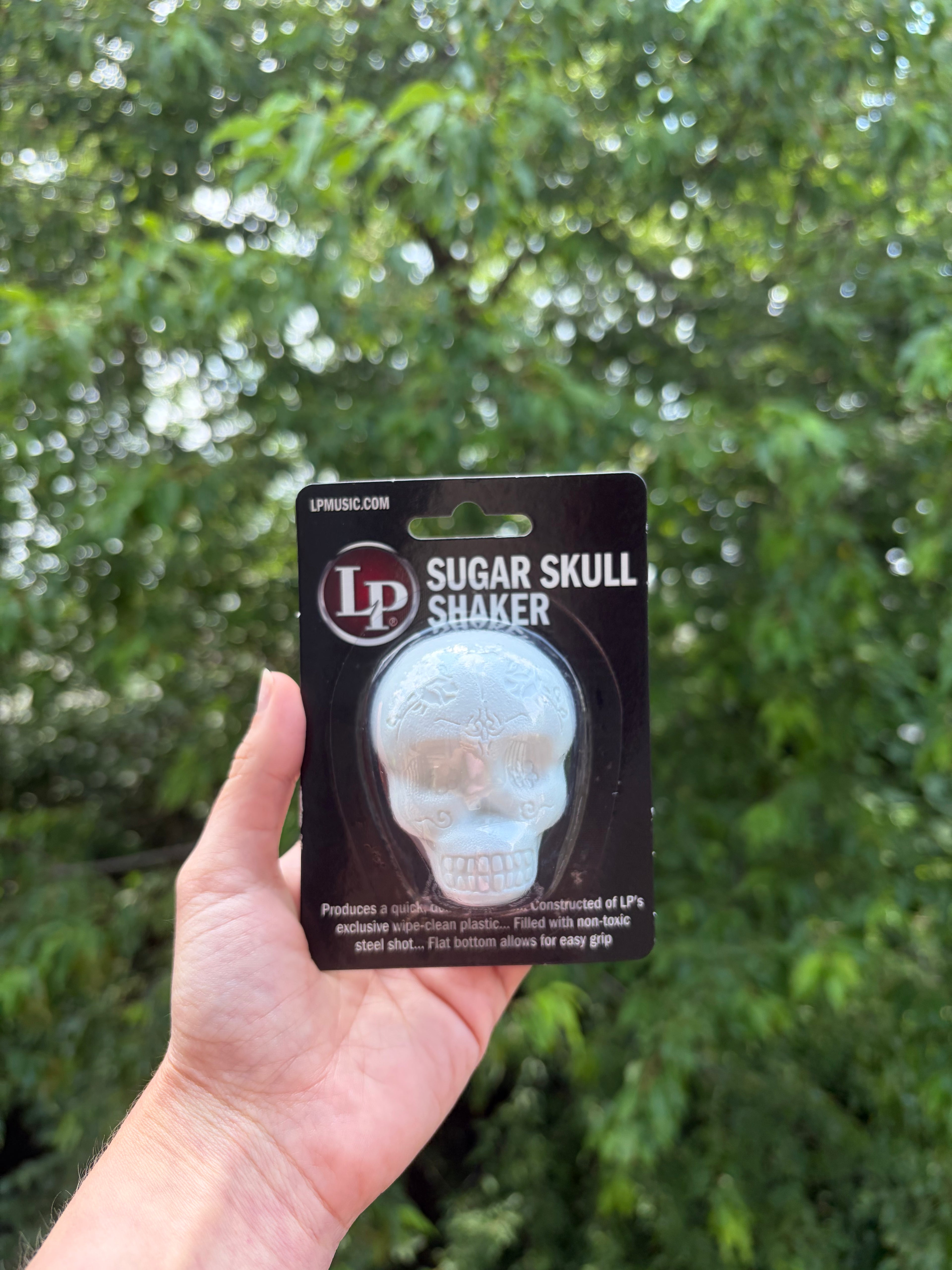 Sugar Skull Percussion Shaker ☠︎︎♪⋆.✮