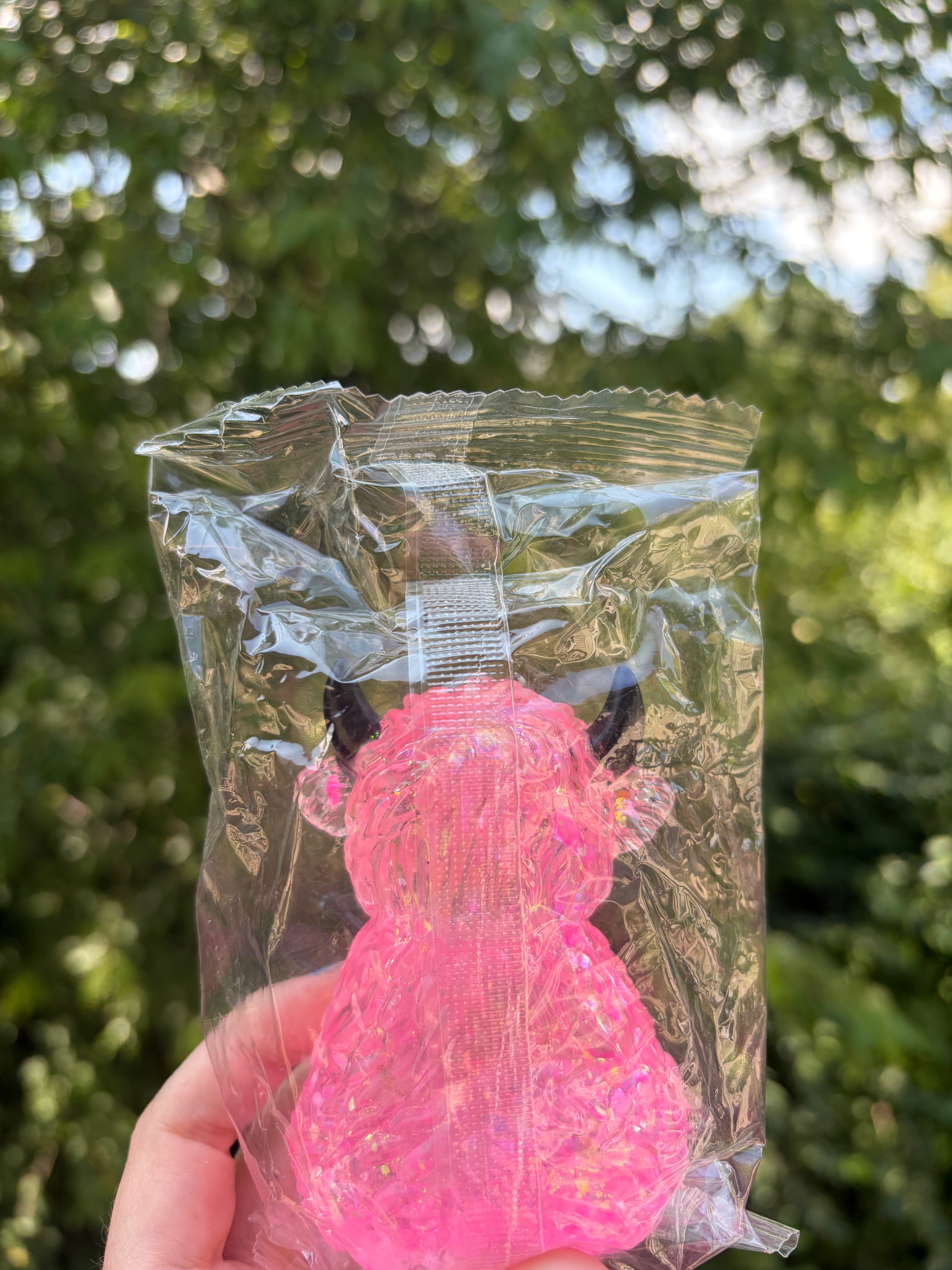 Highland Cow Sugar Squish 𓃽 ˘꒷꒦
